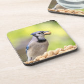 ピーナッツを持つ青いカケス コースター (左側)