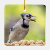 ピーナッツを持つ青いカケス セラミックオーナメント (裏面)