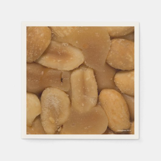 ピーナッツカクテルナプキンズ スタンダードカクテルナプキン (正面)