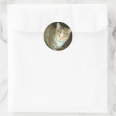 ピーナッツシール ラウンドシール (バッグ)