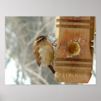 ピーナッツバターバード ポスター