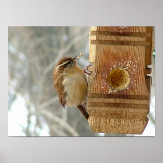 ピーナッツバターバード ポスター (正面)