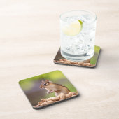 ピーナッツ付きチップムンク コースター (右側)