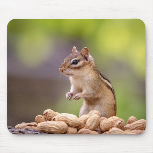 ピーナッツ付きチップムンク マウスパッド (正面)
