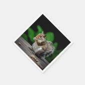 ピーナッツ付きリス スタンダードカクテルナプキン (角)