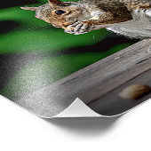 ピーナッツ付きリス フォトプリント            (角)