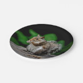 ピーナッツ付きリス ペーパープレート (アングル)