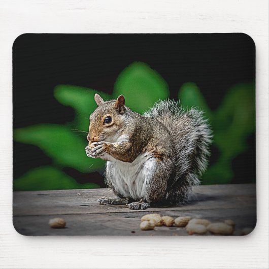 ピーナッツ付きリス マウスパッド (正面)