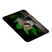 ピーナッツ付きリス マグネット (右側)