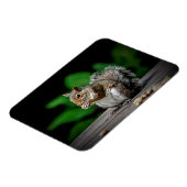 ピーナッツ付きリス マグネット (左側)