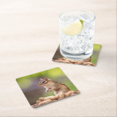 ピーナッツ入りチマンク スクエアペーパーコースター (インサイチュ)