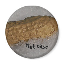 ピーナッツ磁石