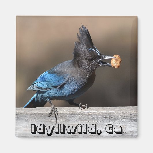 ピーナッツ磁石Idyllwild, Caとステラーズジェイ マグネット (正面)