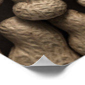 ピーナッツ科 ポスター (角)