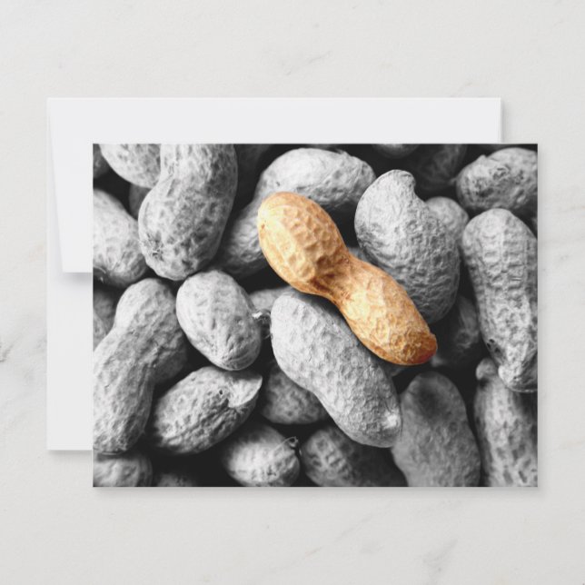 ピーナッツ (正面)