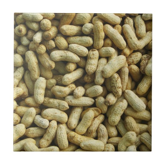 ピーナッツ タイル (正面)