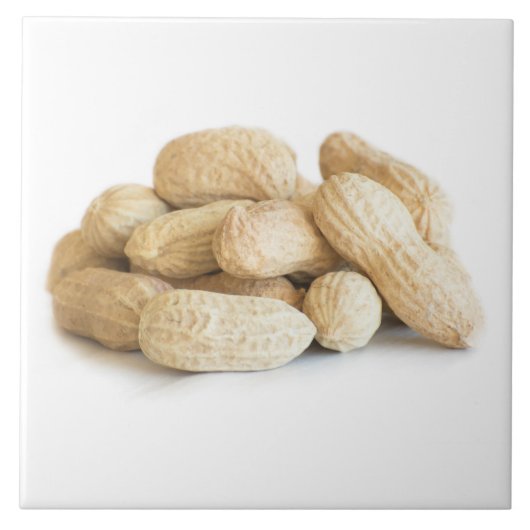 ピーナッツ タイル (正面)