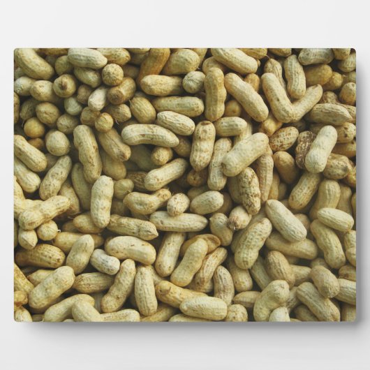 ピーナッツ フォトプラーク (正面)