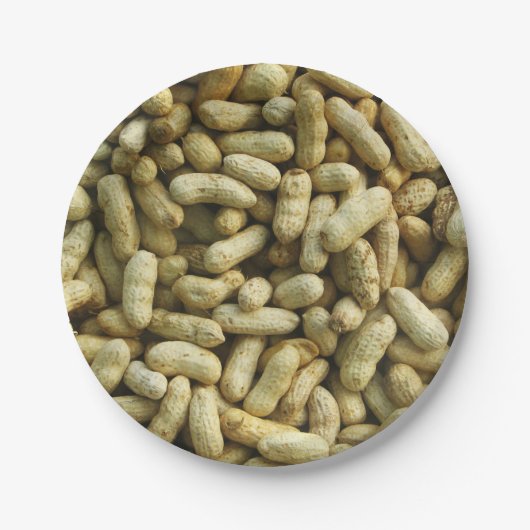 ピーナッツ ペーパープレート (正面)