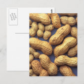 ピーナッツ ポストカード (正面/裏面)