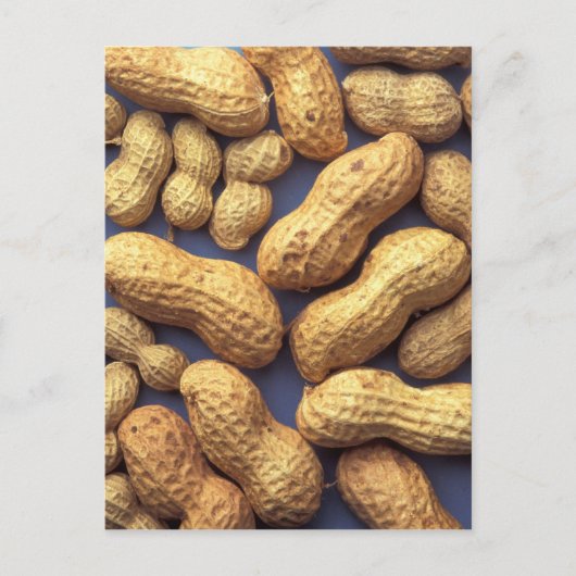 ピーナッツ ポストカード (正面)
