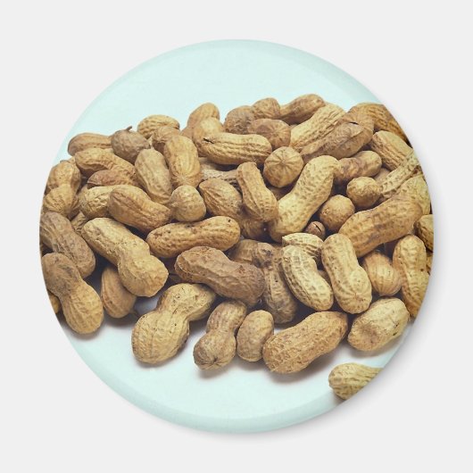 ピーナッツ マグネット (正面)