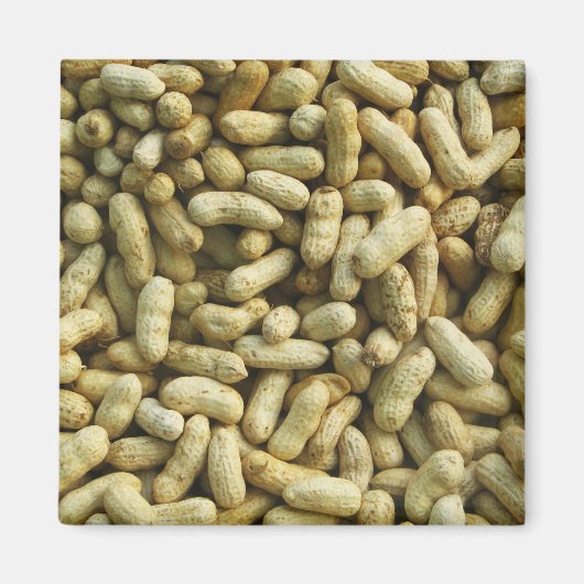 ピーナッツ マグネット (正面)