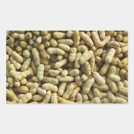 ピーナッツ 長方形シール (正面)