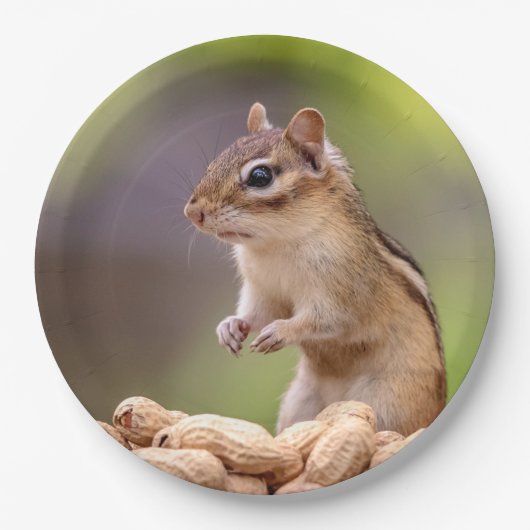 ピーナツが付いているシマリス ペーパープレート (正面)