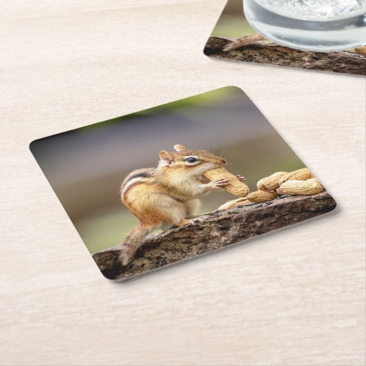 ピーナツを食べるシマリス スクエアペーパーコースター (アングル)