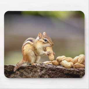 ピーナツを食べるシマリス マウスパッド
