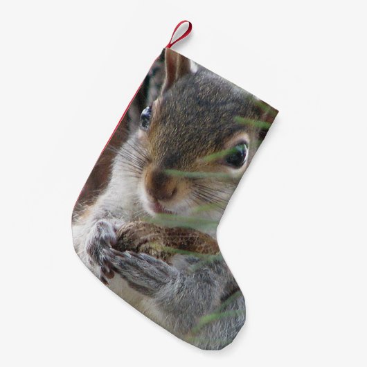 ピーナツ森林自然の齧歯動物を持つかわいいリス スモールクリスマスストッキング (正面 (吊り時))