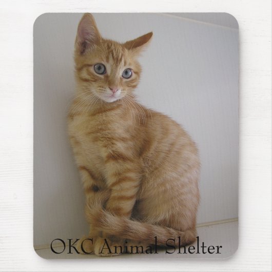 ピーナツ マウスパッド (正面)