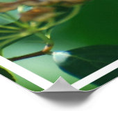 ピーニかわいらしー ポスター (角)