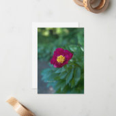 ピーニ独身のー ノートカード (正面/裏面インサイチュ)