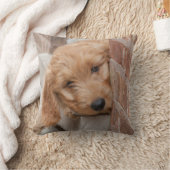 ピーピーキー クッション (ブランケット)