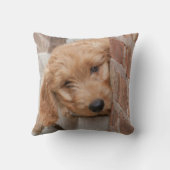 ピーピーキー クッション (裏面)