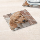 ピーピーキー スクエアペーパーコースター (アングル)