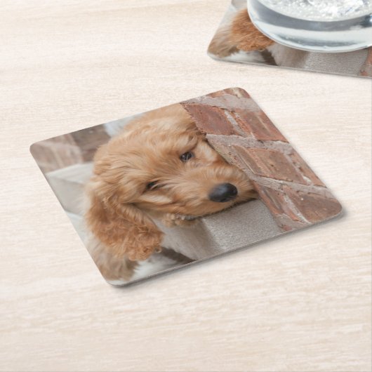 ピーピーキー スクエアペーパーコースター (アングル)