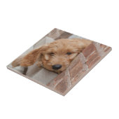 ピーピーキー タイル (側面)