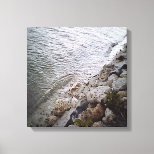 ピーブルズアットザビーチ キャンバスプリント (正面)