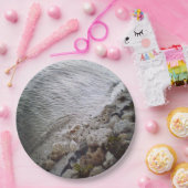 ピーブルズアットザビーチ ペーパープレート (パーティー)