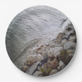 ピーブルズアットザビーチ ペーパープレート (正面)