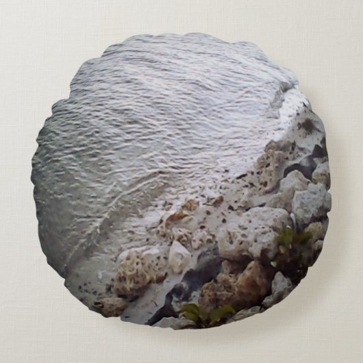 ピーブルズアットザビーチ ラウンドクッション (正面)