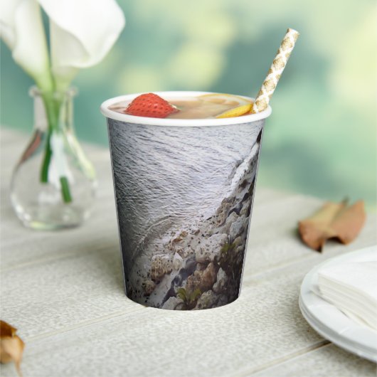 ピーブルズアットザビーチ 紙コップ (インサイチュ)