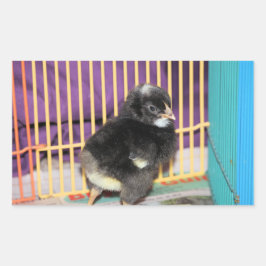 ピープスクエアステッカー 長方形シール