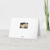 ピープス カード (裏面)