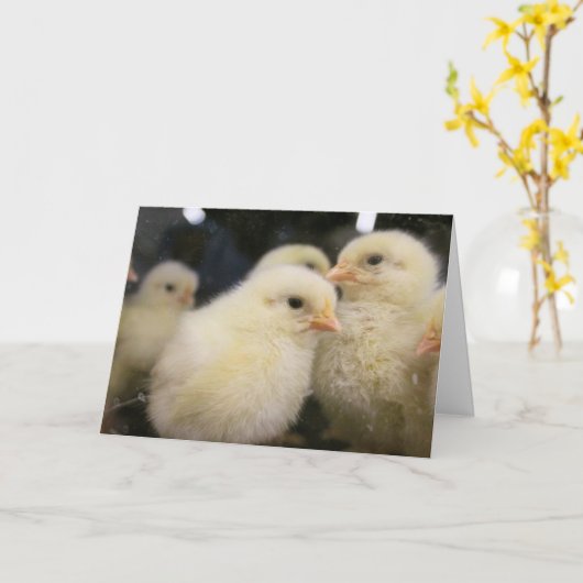 ピープス カード (黄色い花)