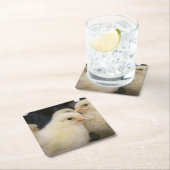 ピープス スクエアペーパーコースター (インサイチュ)