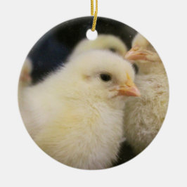 ピープス セラミックオーナメント